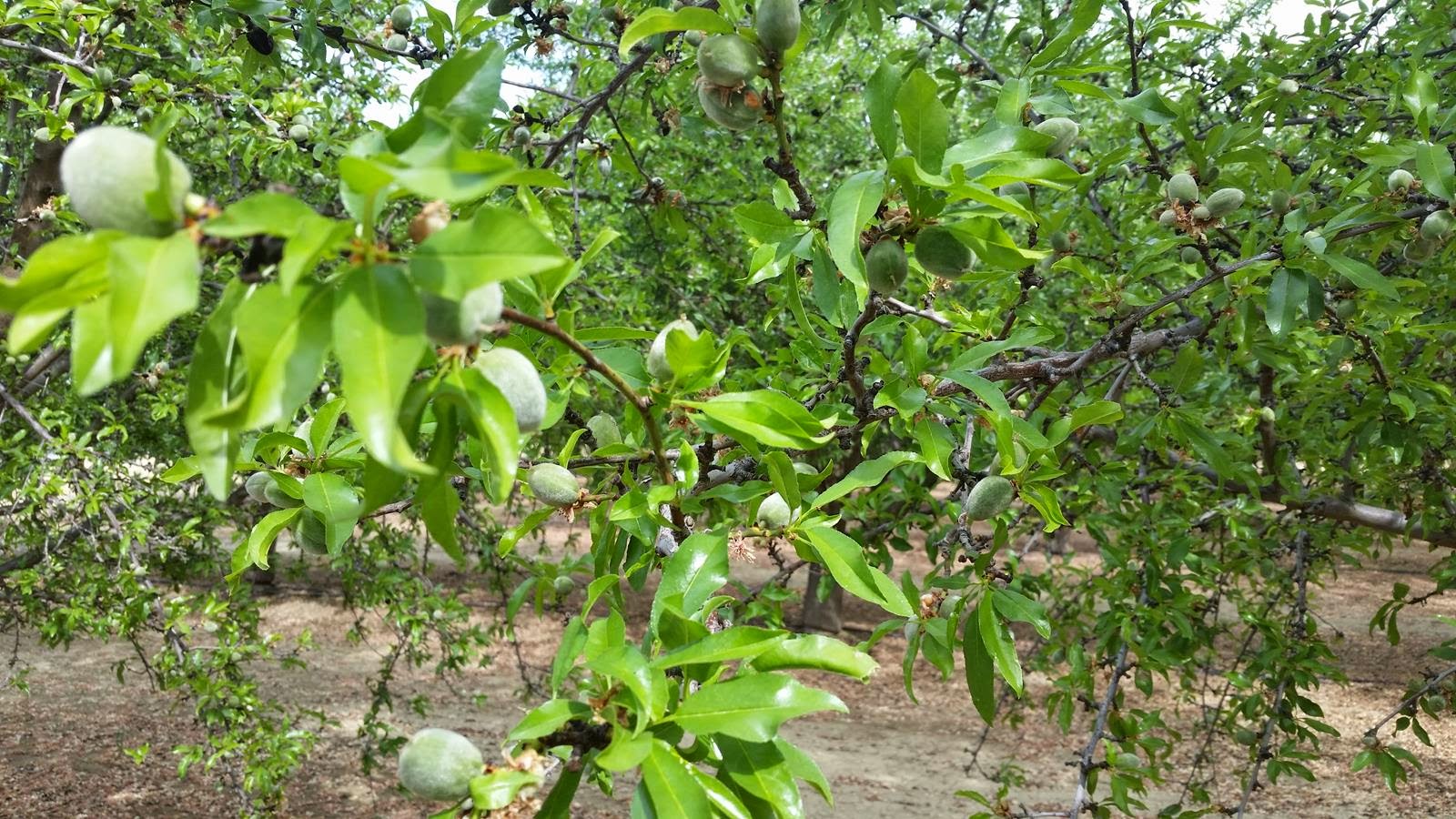 Sustainable Ag A View from the Field You’re All Wet if You Don’t Take