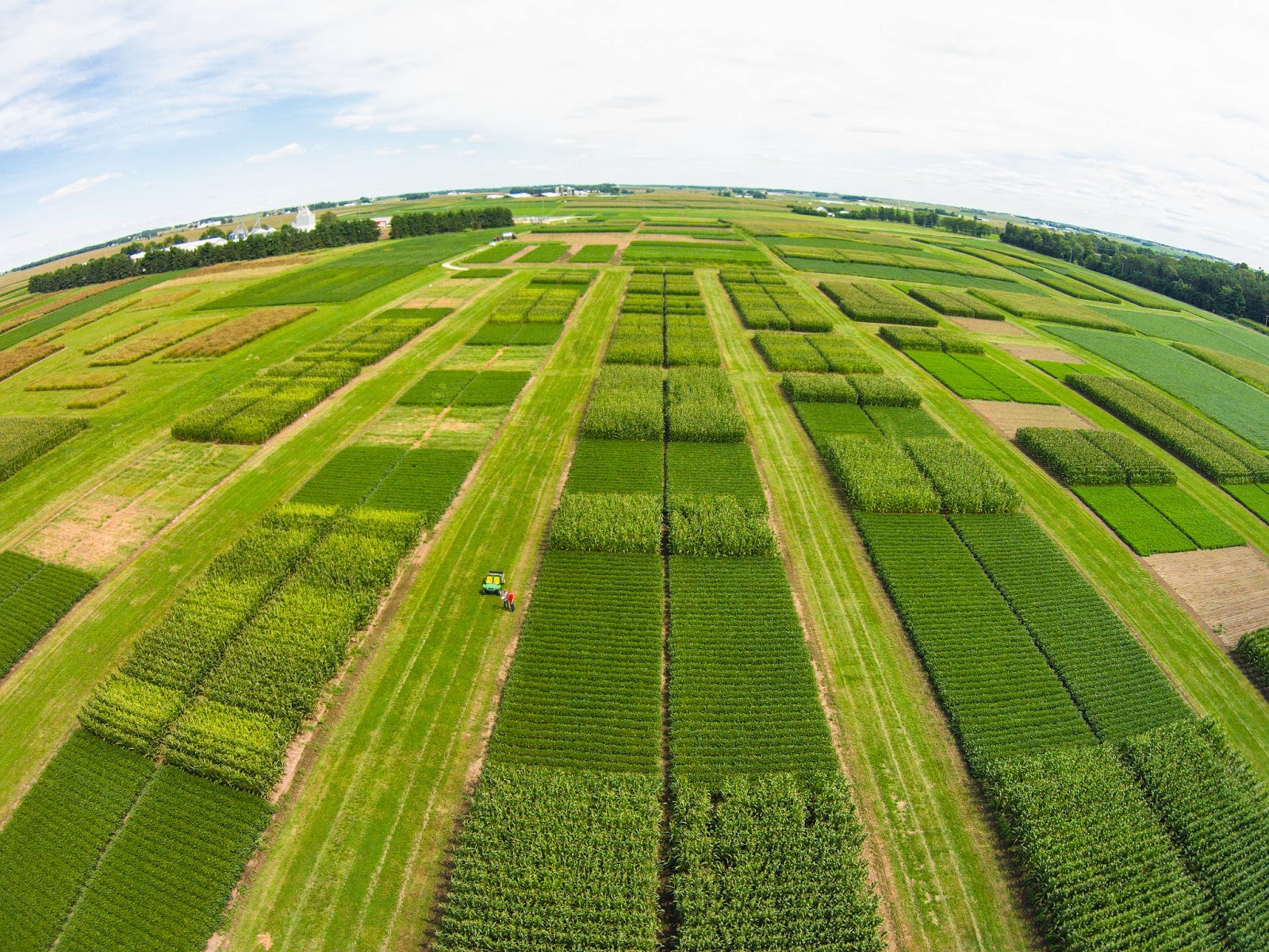 agriculture modern agronomy Advanced agronomy and agricultural input product expertise deep agronomic in agricultural leadership 10+years of experience in modern agronomic farm. agriculture modern agronomy Advanced agronomy and agricultural input product expertise deep agronomic in agricultural leadership 10+years of experience in modern agronomic farm.