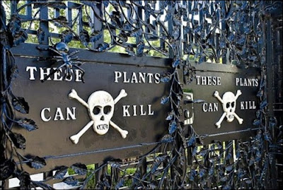 Top 10 Most Extremely Dangerous And Unusual Places