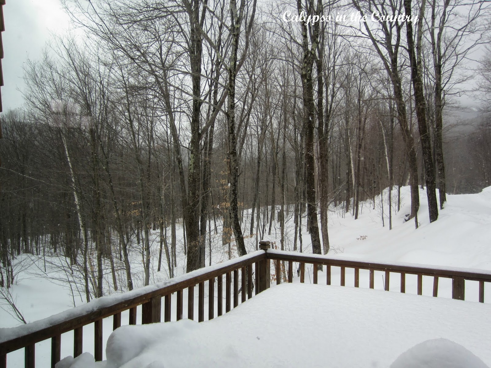 Vermont in the Winter Calypso in the Country