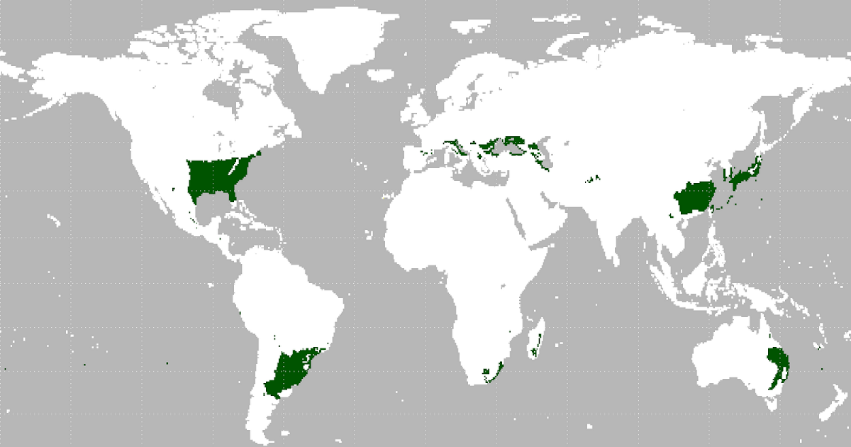 Weather and Climate Blog Climate of Uruguay