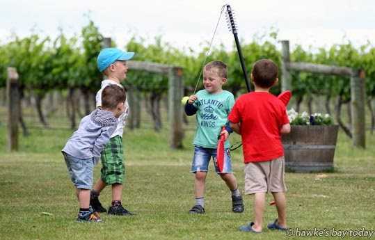 Children play swingball at Picnic in the Vines, Te Awa Winery, SH50, Hastings, a F.A.W.C! (Food and Wine Classic) event Children play swingball at Picnic in the Vines, Te Awa Winery, SH50, Hastings, a F.A.W.C! (Food and Wine Classic) event photograph