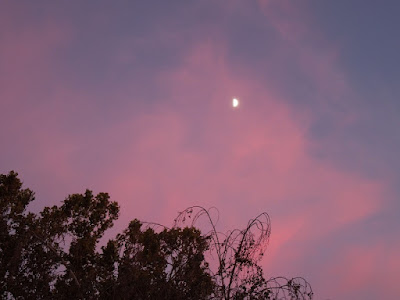 Moon in Pink Sky, © B. Radisavljevic