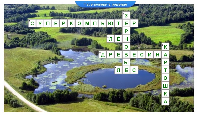 Как приготовить суп из сушеных белых грибов видео