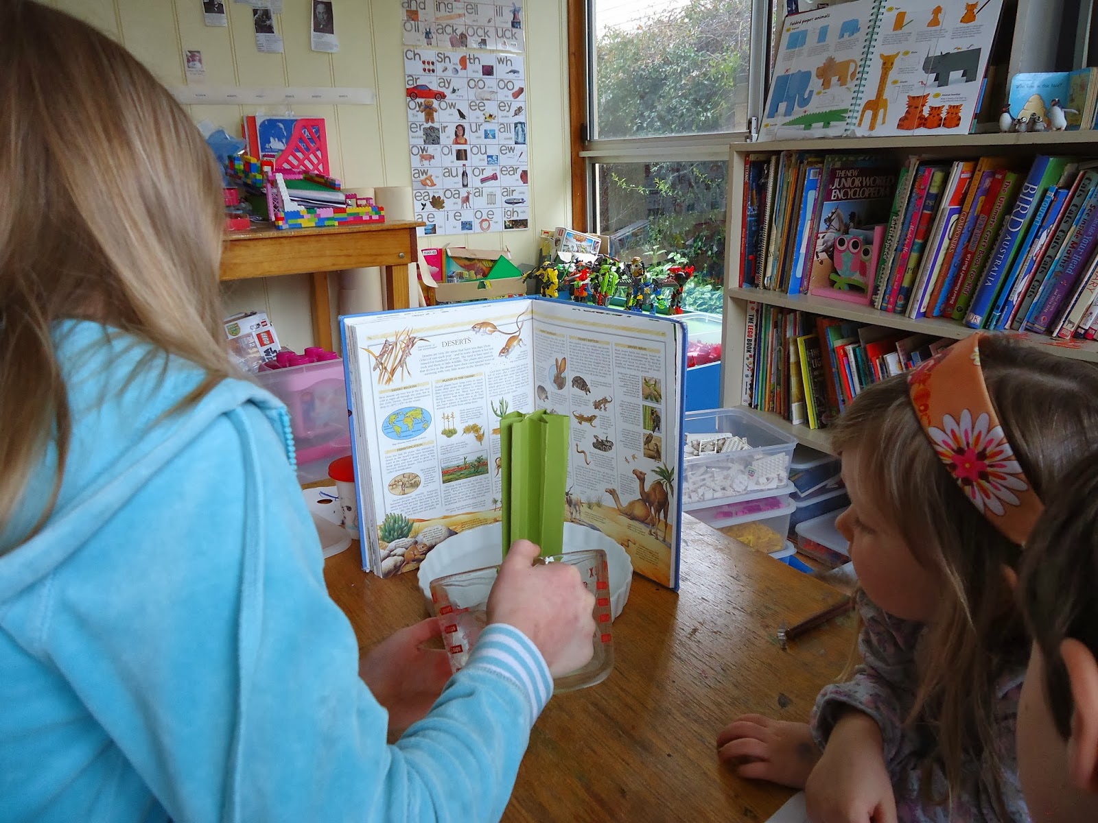 the Torrents Times: Desert science experiment