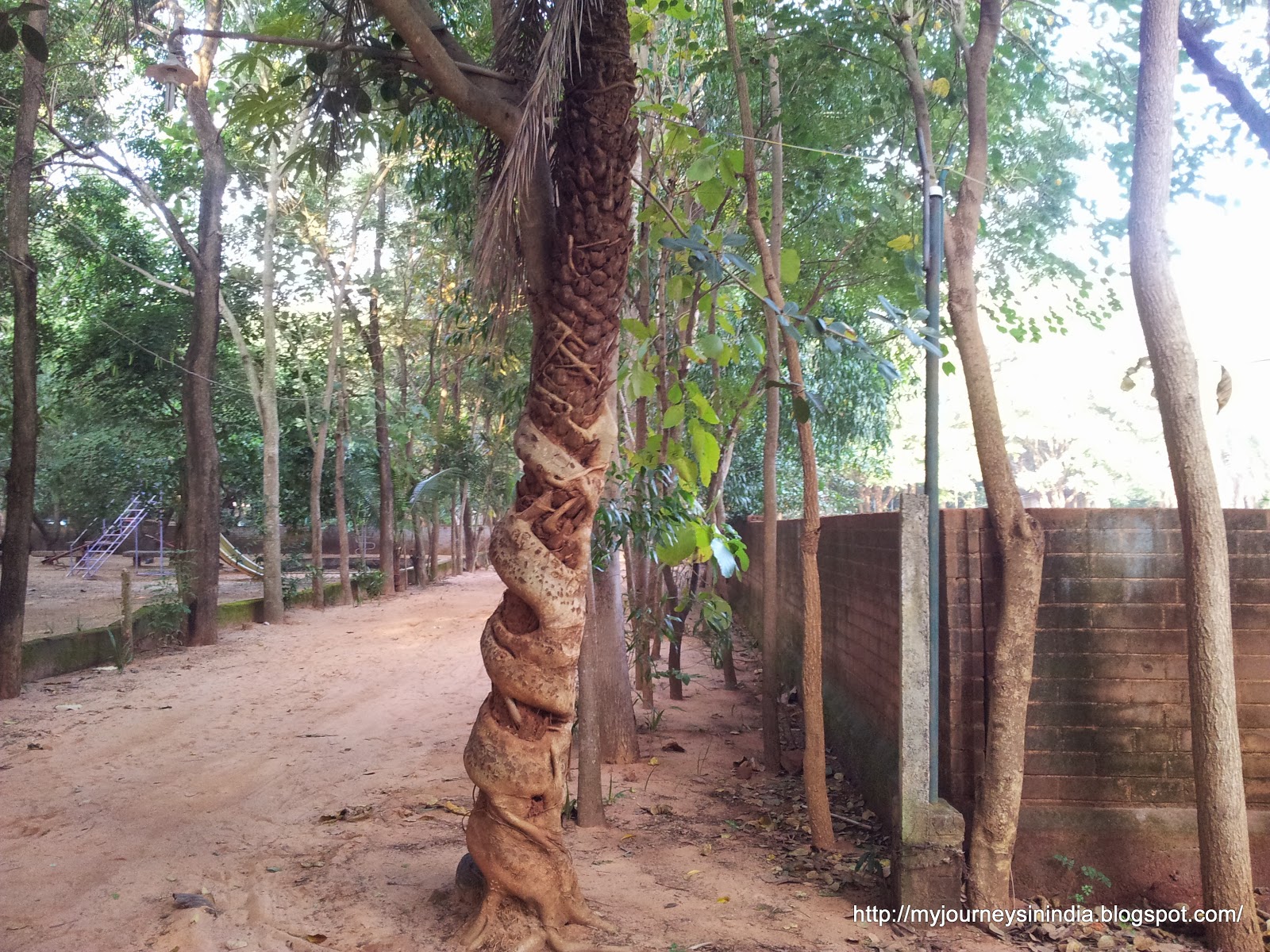Tree on Tree Tree on Tree