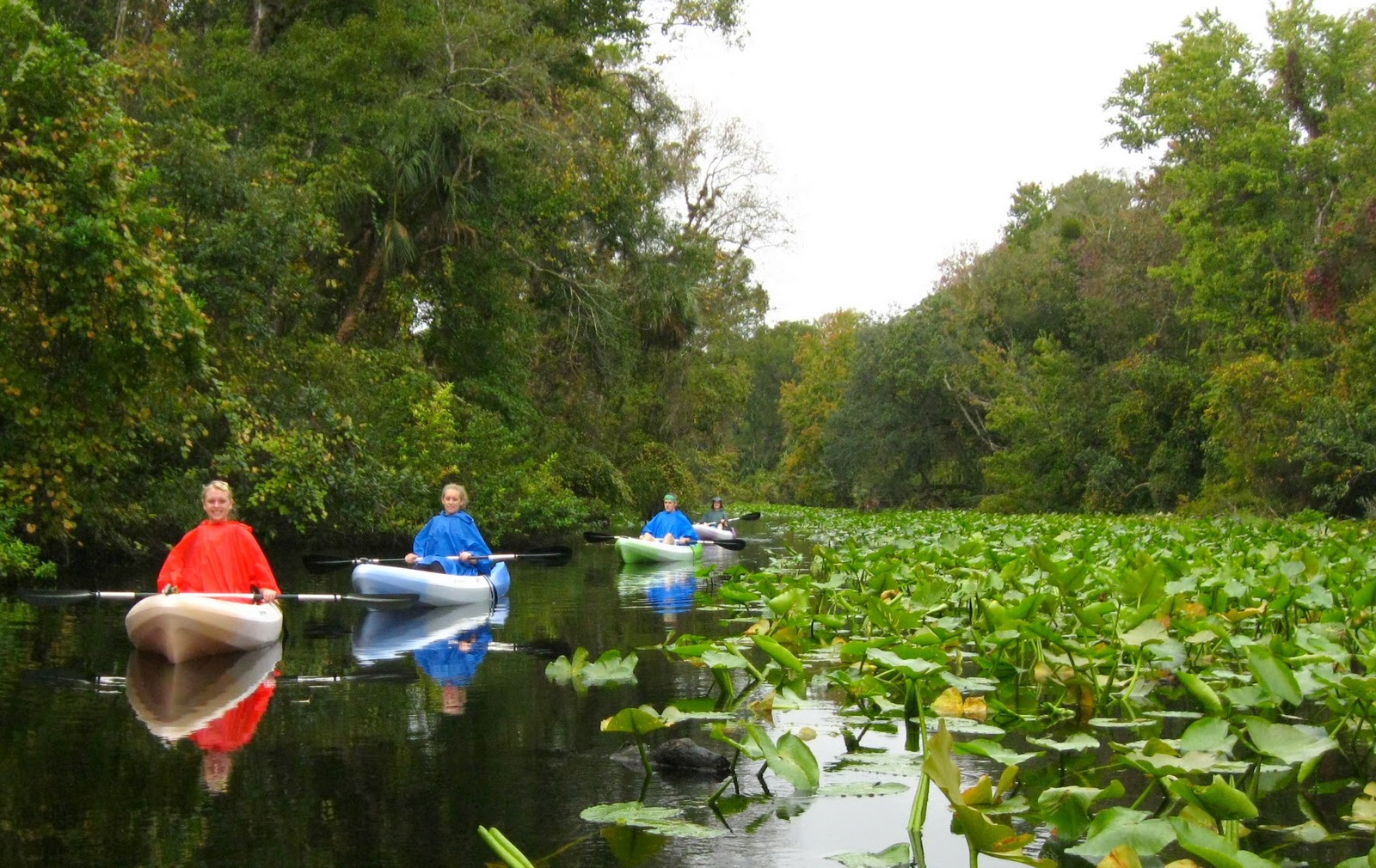 Central Florida Kayak Tours Judy Gallagher's Rock Springs Run 102911
