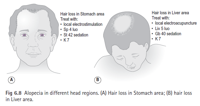Acupressure Points Chart For Hair Growth