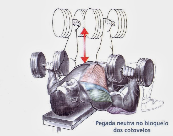 Supino Reto Com Halteres Pegada Neutra 