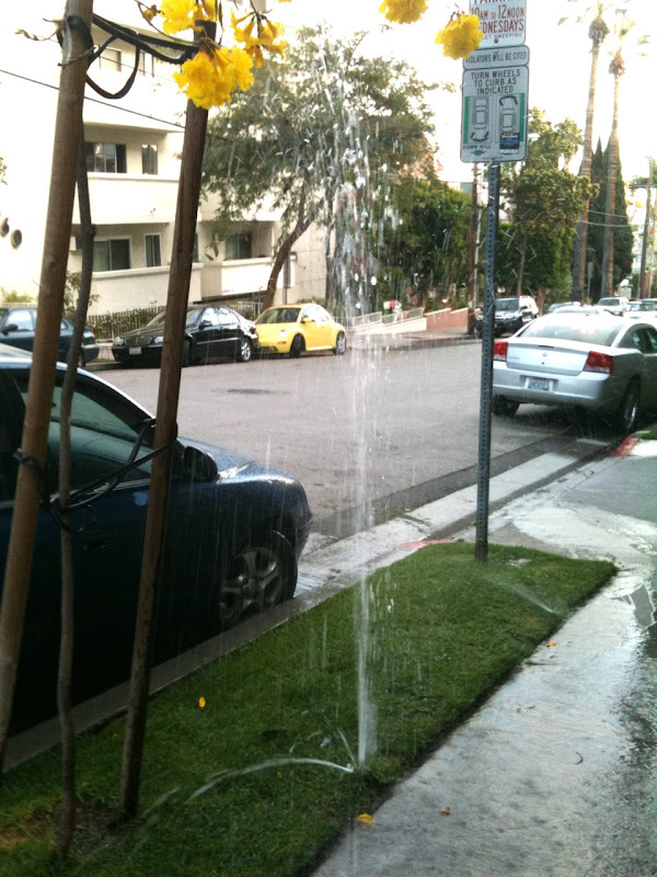Sprinklers gone wrong