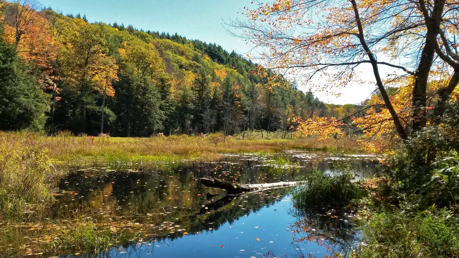 Berkshire Hiker Upper Spectacle Pond, Otis & Sandisfield