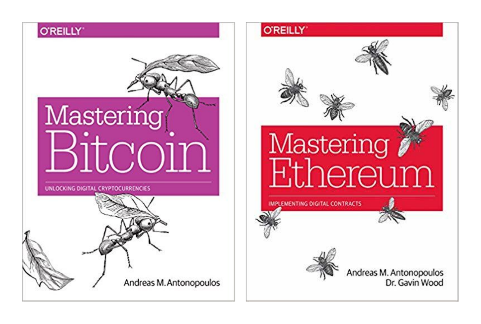 Best blockchain books for developers