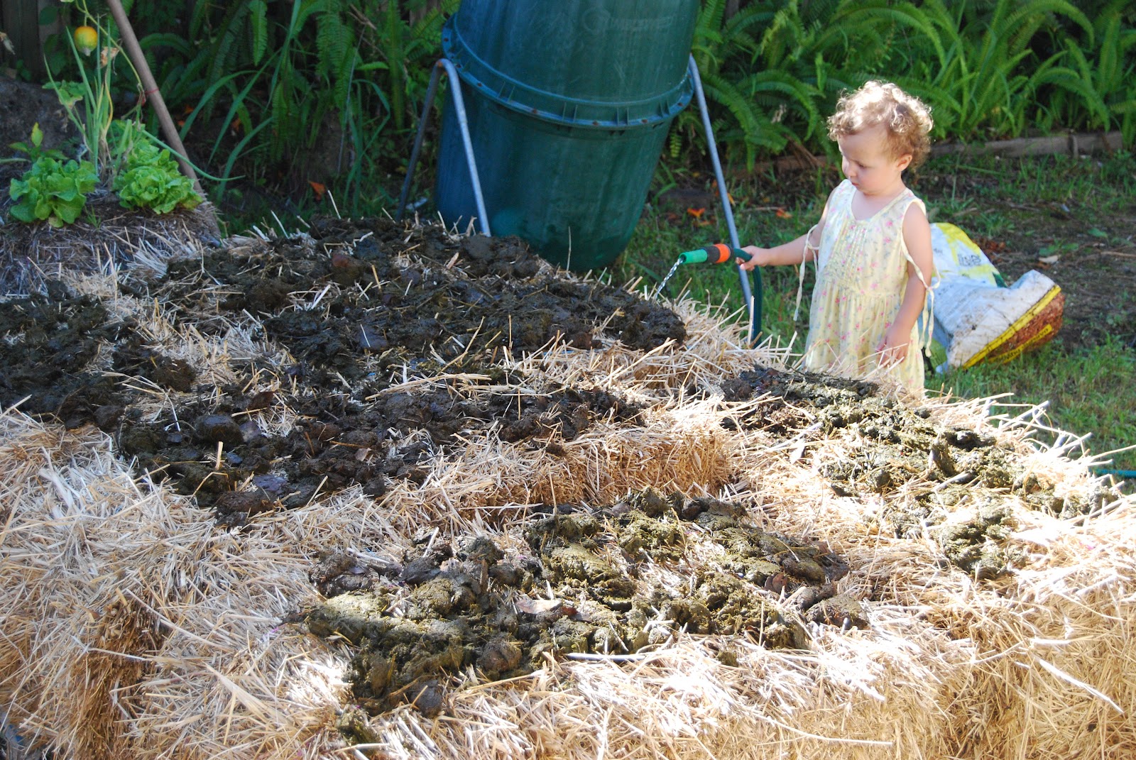 Simple, Green, Frugal Co-op: A Beginner's Guide to Straw Bale Gardening