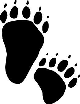 Bears Tracks