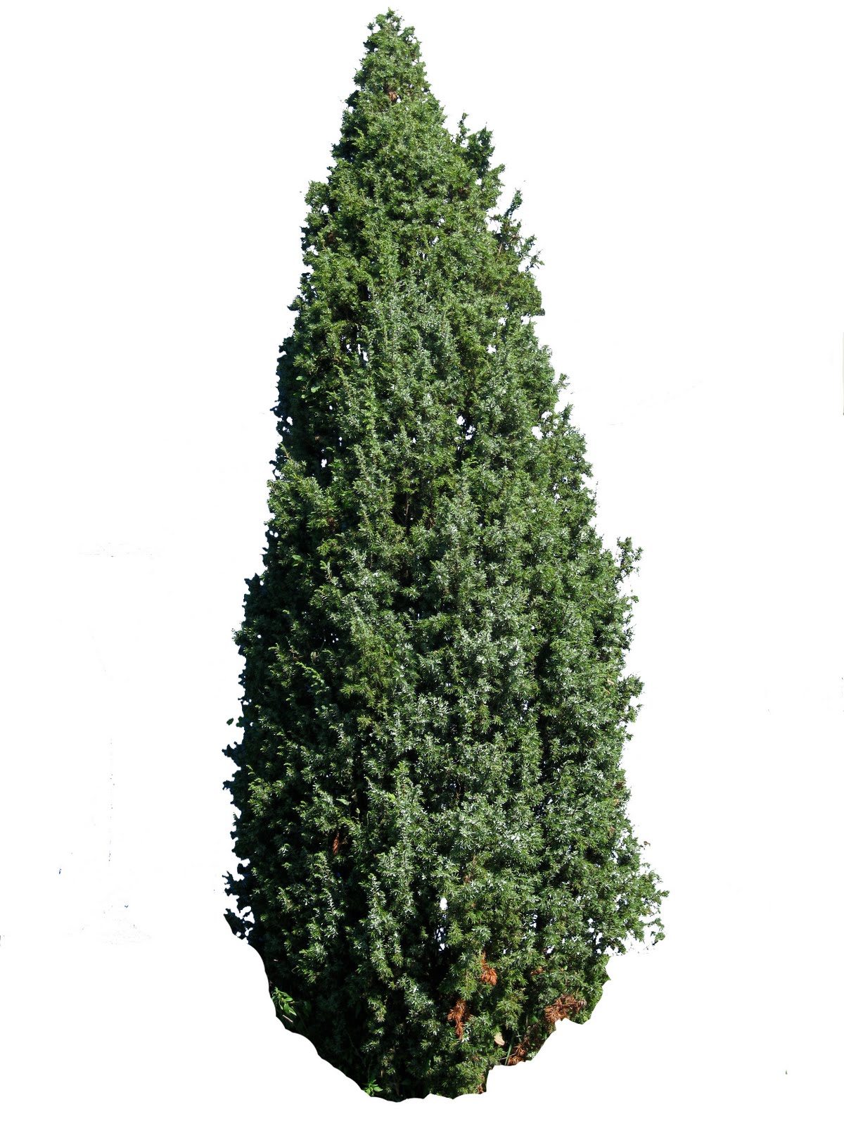 Digital Hortorium: September 2011