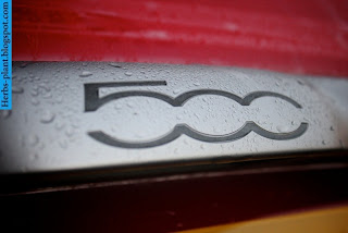 Fiat 500 car logo - صور شعار سيارة فيات 500 Fiat 500 car logo - صور شعار سيارة فيات 500