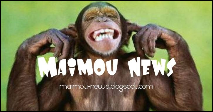 Maimou - news