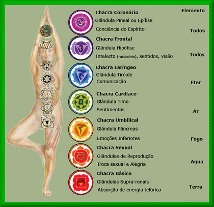 Bibis sobre parasitas em um corpo humano