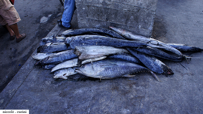 Port of Ecuador