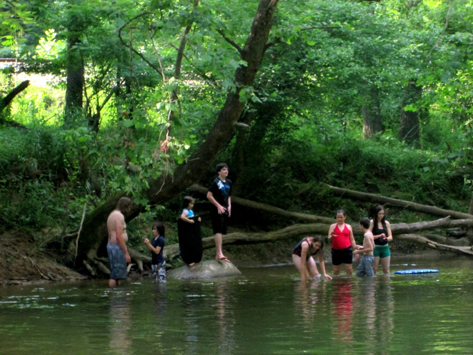 Virginia's Life, Such As It Is! Swimming in the Patapsco River