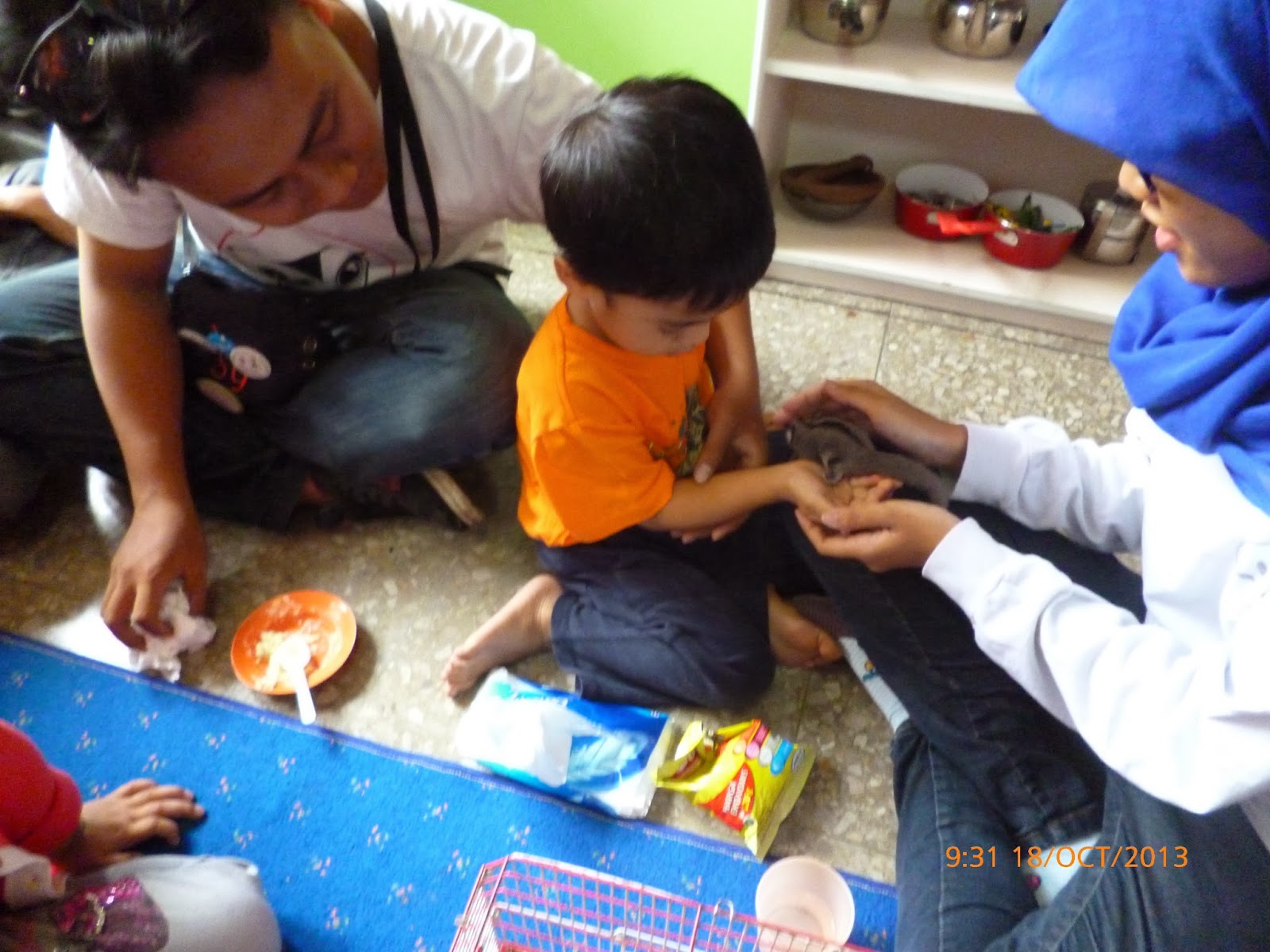 Saraswati Preschool Caring for Animals