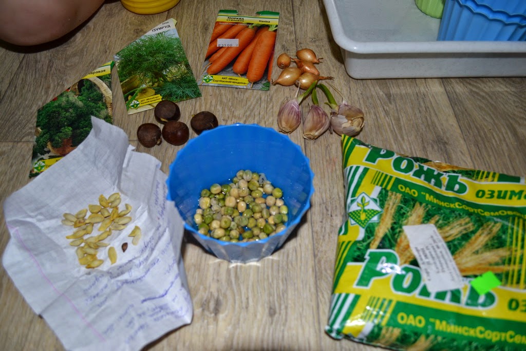Отложено на семена Отложено на семена