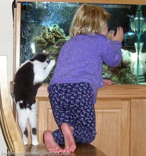Funny child and cat.