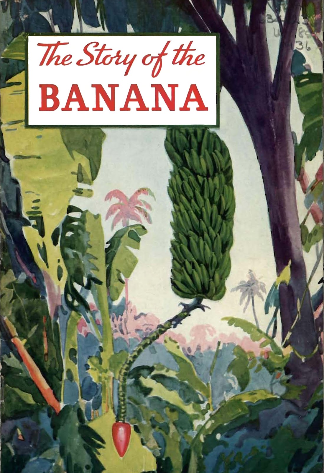 State Library of Massachusetts Going Bananas at the State Library