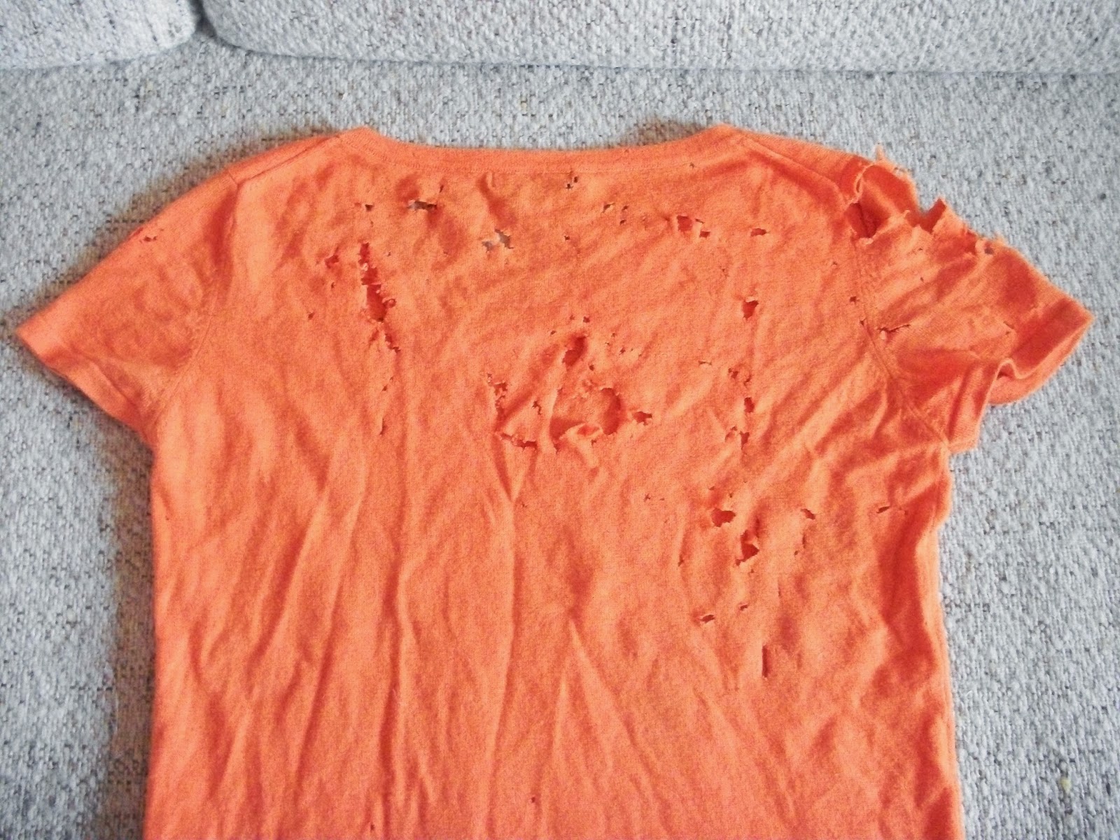 moth eaten clothing 100_2652.JPG 1,600×1,200 pixels Eat clothing