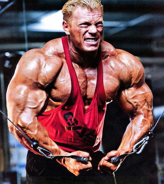 SEARCH AND BUY THIS PRODUCT mr olympia 2012, mr olympia 2012 predictions, mr olympia