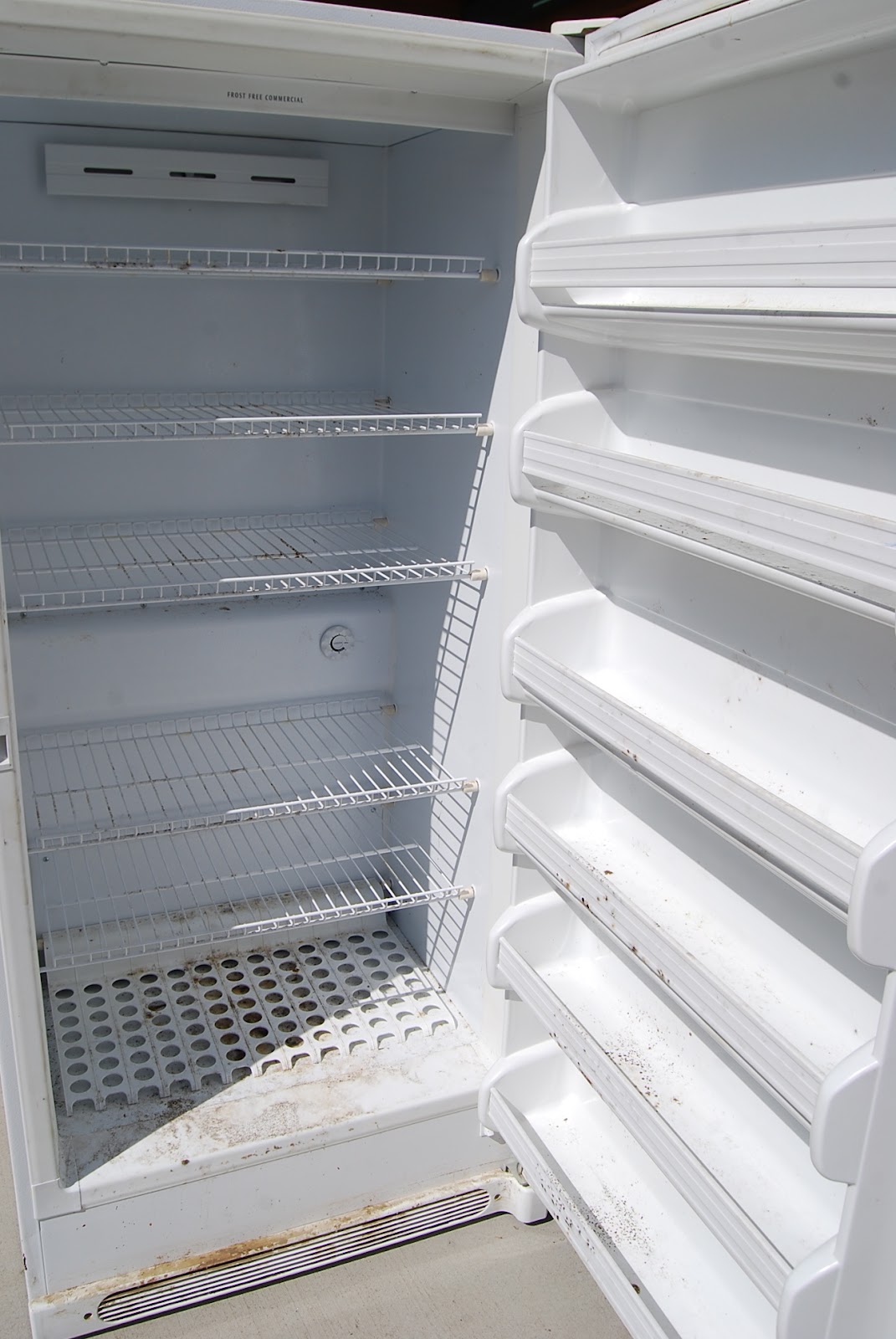 Wilamar Farm Cleaning The Freezer