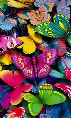 Phone Wallpapers Phone Wallpapers