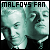 I like the Malfoy family