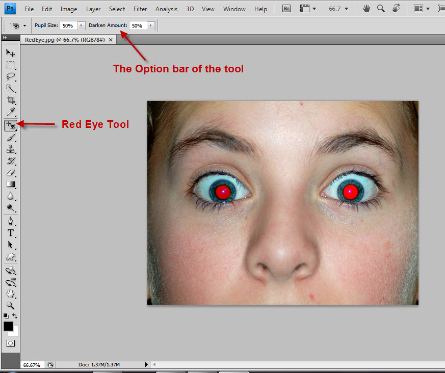 Art Work How To Remove The Red Eye Effect From A Photo With