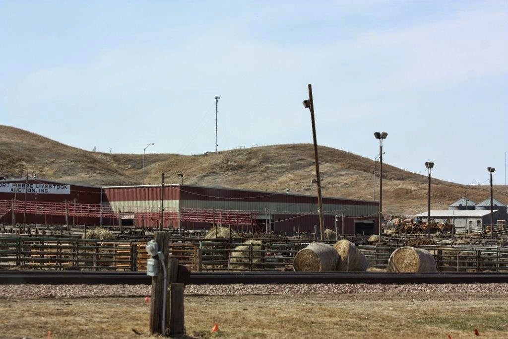 Sarah Lynn's Nature's Splendor We Got There! Ft. Pierre, South Dakota