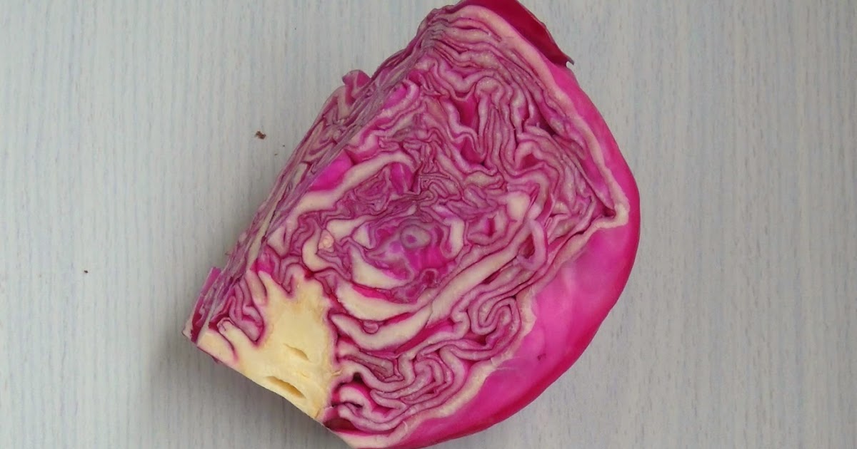 Purple Cabbage Kootu Cook N Click