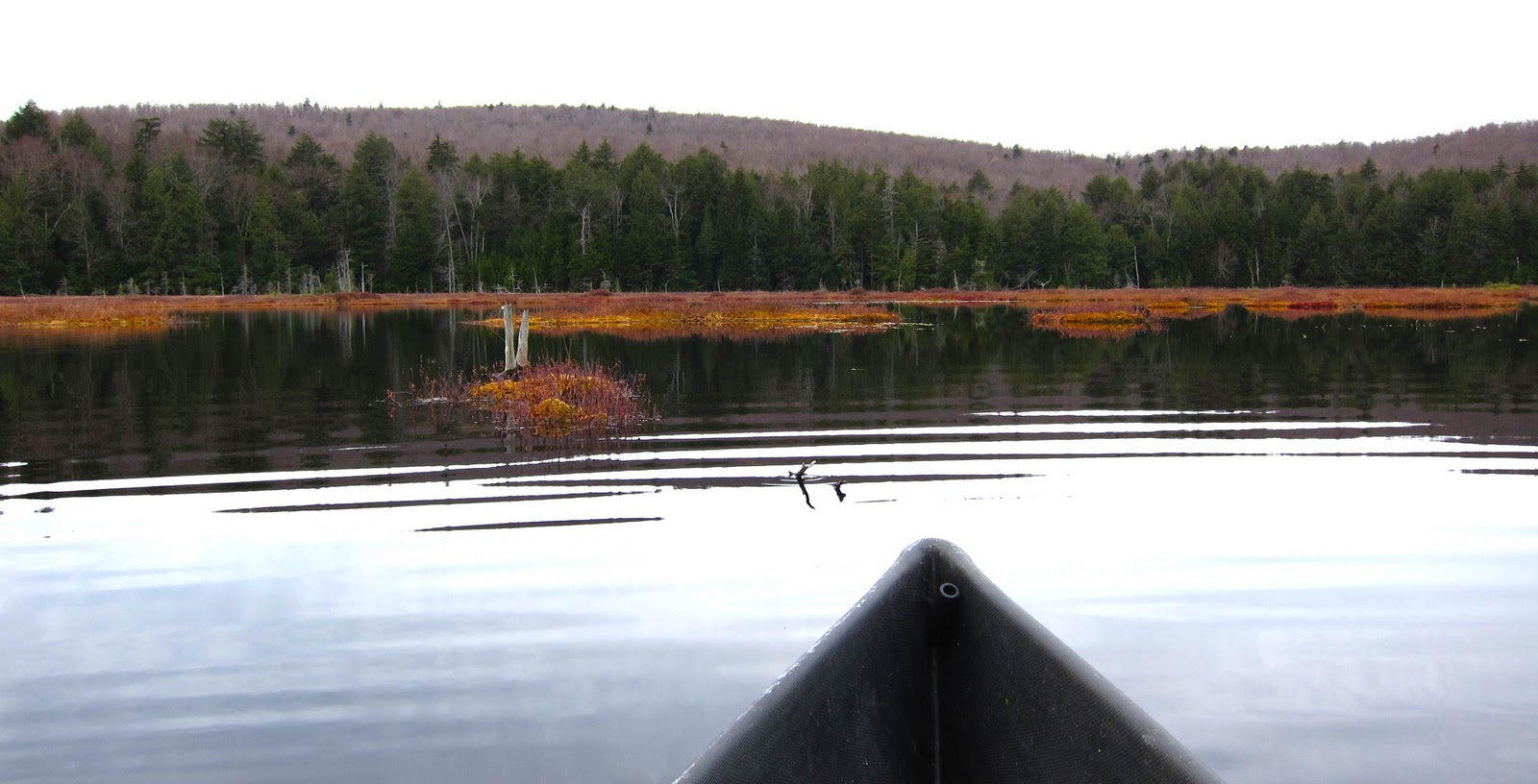 Saratoga woods and waterways Paddling a Cranberry Bog