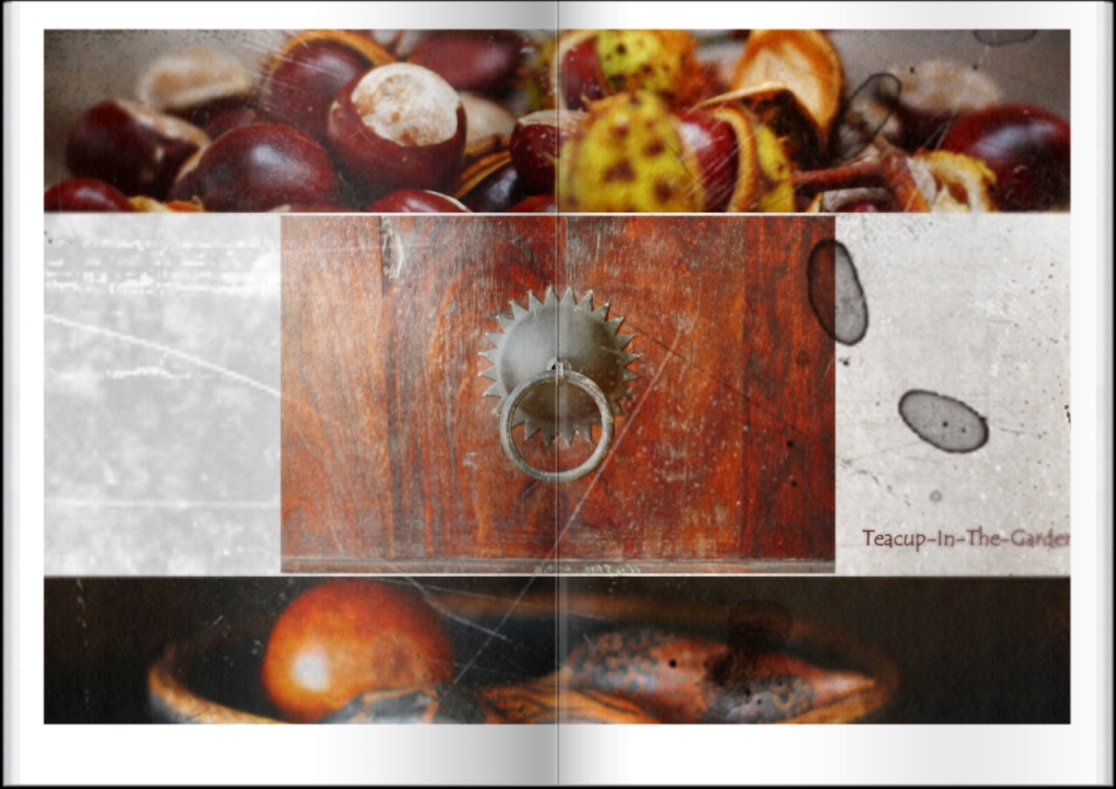 Teacup-In-The-Garden: Der Fernsehschrank