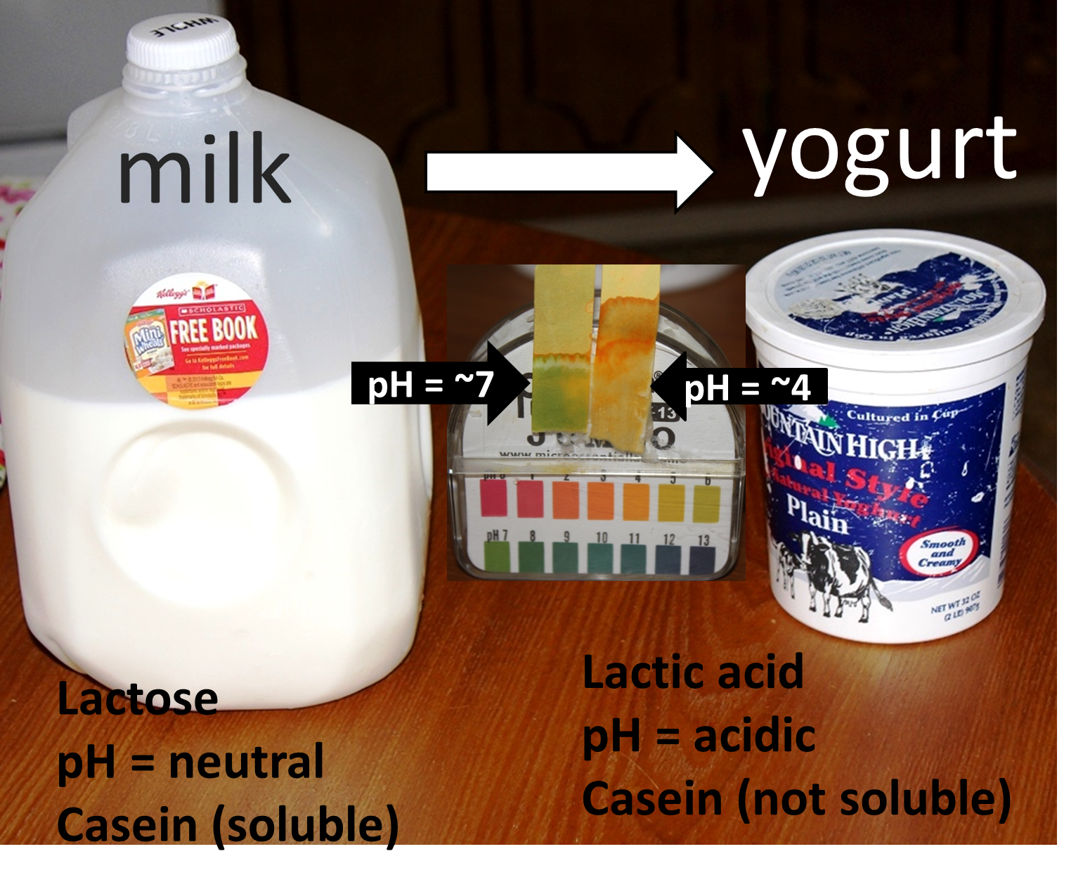 SCIENCE TO SOCIETY chemistry of yogurt formation