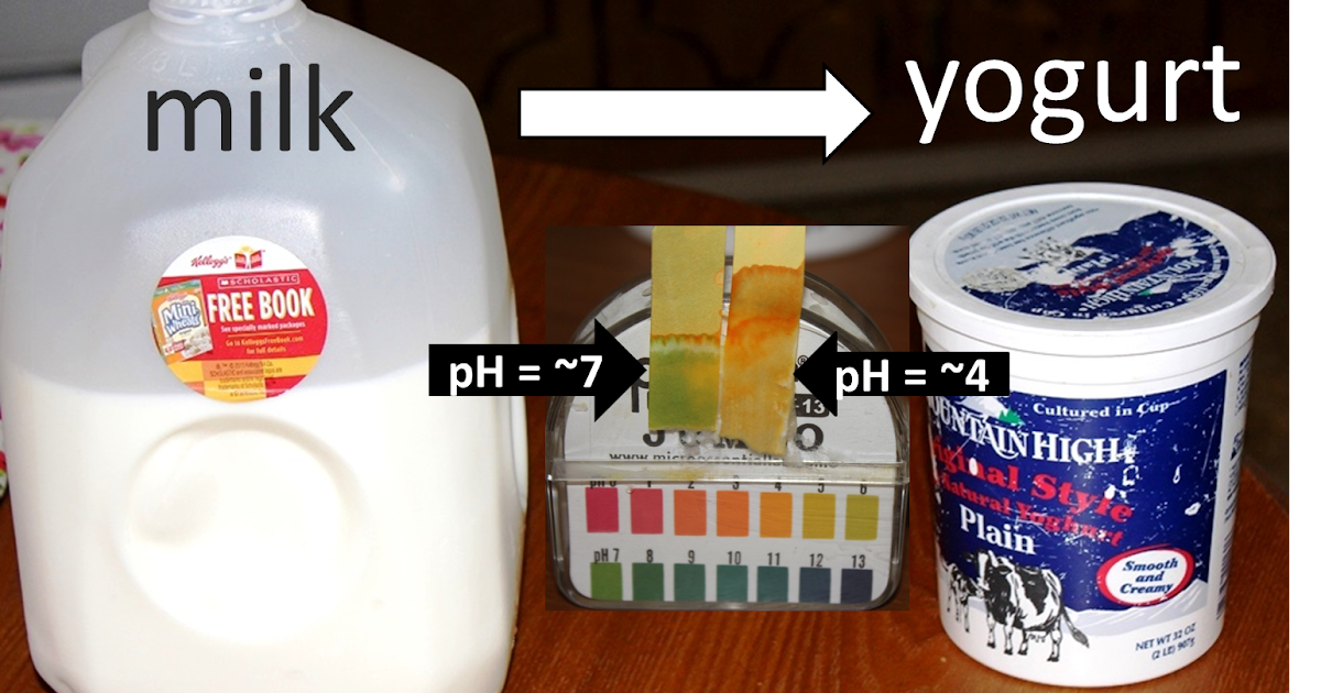 SCIENCE TO SOCIETY chemistry of yogurt formation