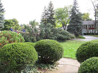 Designing Dreams on a Dime: Dream Driveway and Luxurious Landscaping