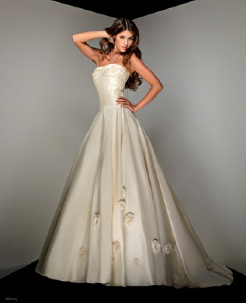 Dulha & Dulhan Disney Wedding Dresses