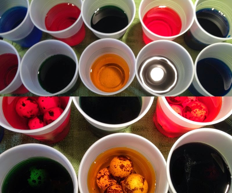 Linn Acres Farm How to Dye Quail Eggs