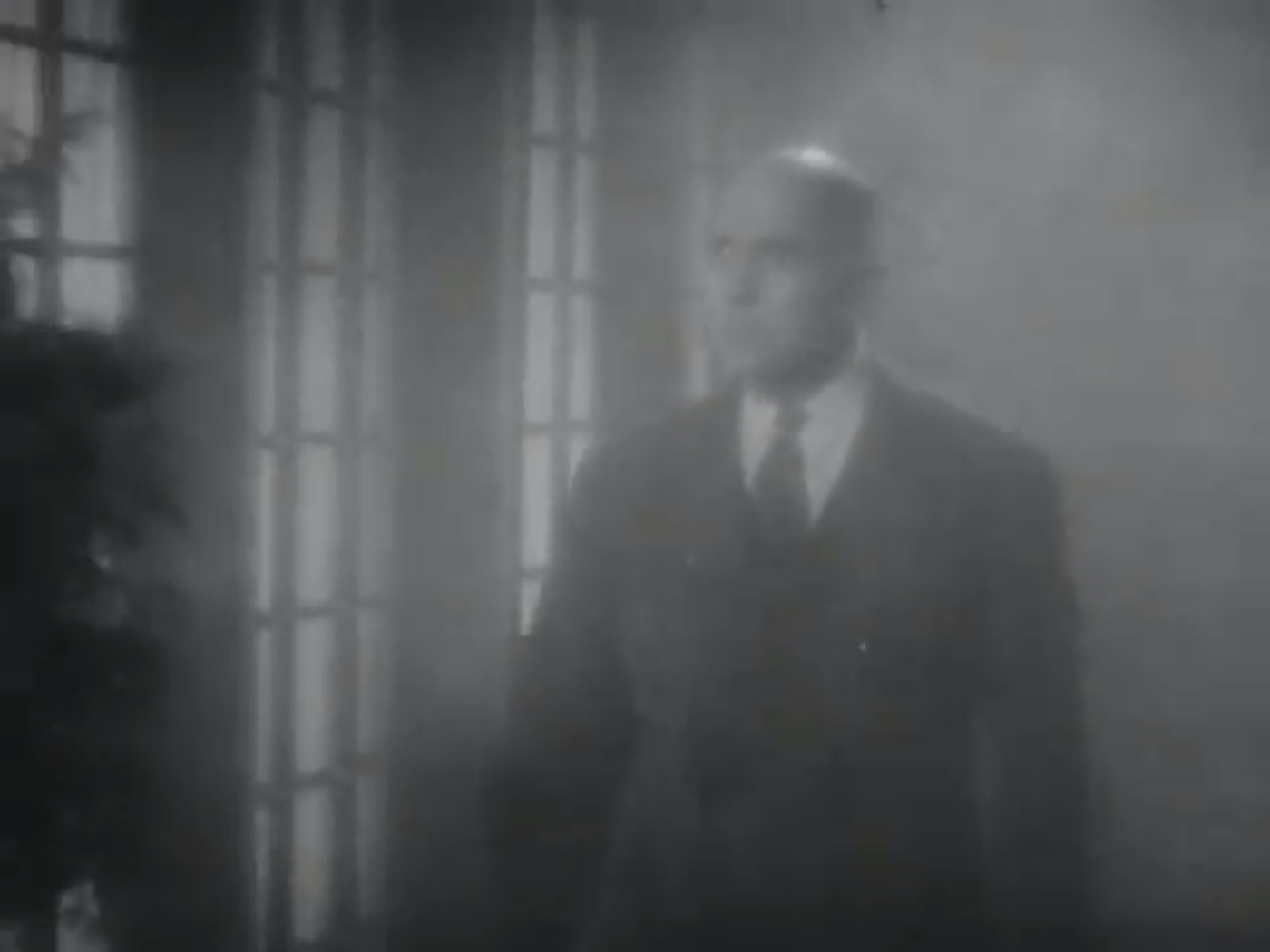 After Midnight: The Vampira Sho...