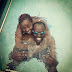 MUST SEE : Tahidi High JOLENE gets Wet with her boyfriend. [[PHOTOS]]