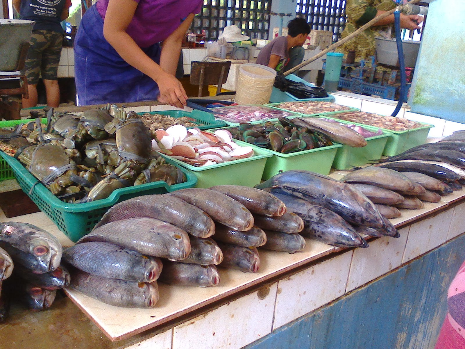 Menjejak Pantai ~ Catatan Rose