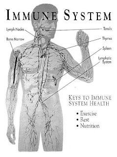 Healthy Life: Optimize Your Immune System Naturally: Thymic Protein A