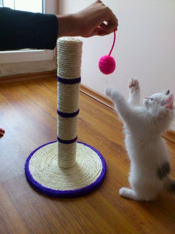 Cat Scratcher That Files Nails Cat Scratcher That Files Nails