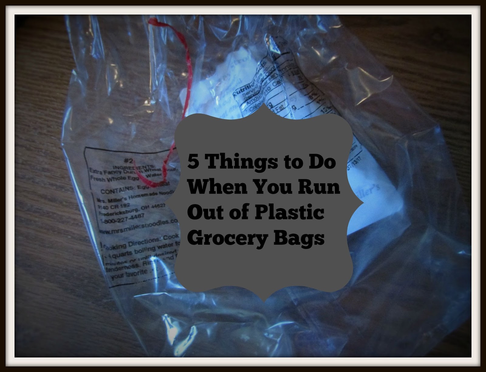 Vickie's Kitchen and Garden 5 Things to Do When You Run Out of Plastic