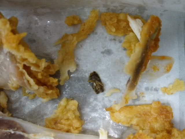 Jorok-Net Seorang karyawan McDonald’s di South Carolina meludah ke dalam dua ...